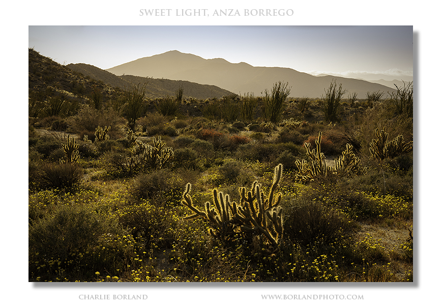 ca_anza_borrego_borland0309-0103