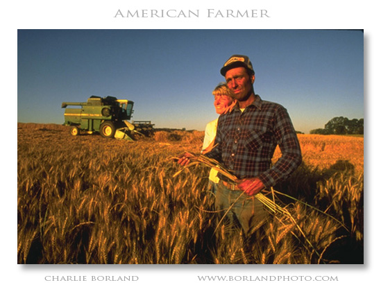 wheat farmer