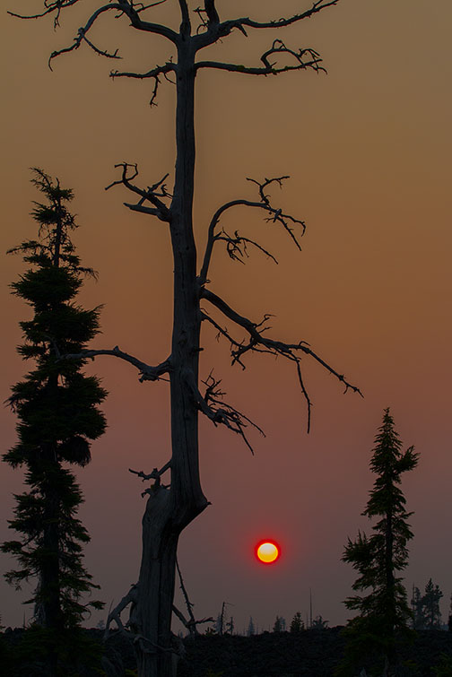 or_mckenzie_pass_MG_6989