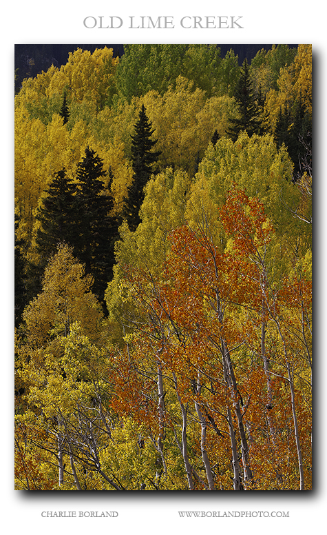 The San Juan Mountains are a rugged mountain range in the Rocky Mountains in southwestern Colorado. The area is highly mineralized (the Colorado Mineral Belt) and figured in the gold and silver mining industry of early Colorado. Major towns, all old mining camps, include Creede, Lake City, Silverton, Ouray, and Telluride. Large scale mining is now uneconomical in the region, although independent prospectors still work claims throughout the range. The last large scale holdouts were the Standard Metals operation on Red Mountain Pass which operated until late in the 20th century and the ill-fated Summitville mine on the eastern slope of the San Juans.