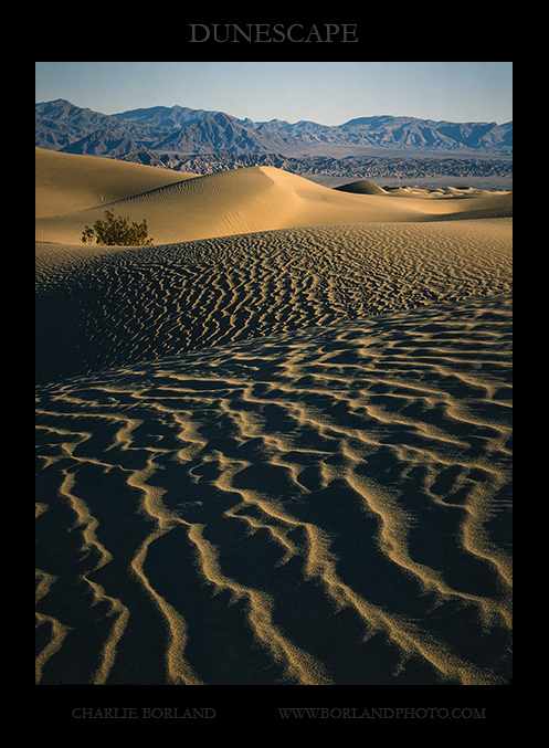 ca_death_valley_dunes_MG_8675