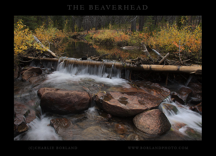 Elklhorn Creek in Beaverhead NF Montana.